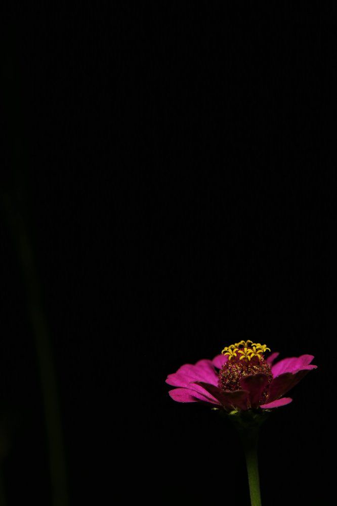 Photograph by Анжелика Сидорова