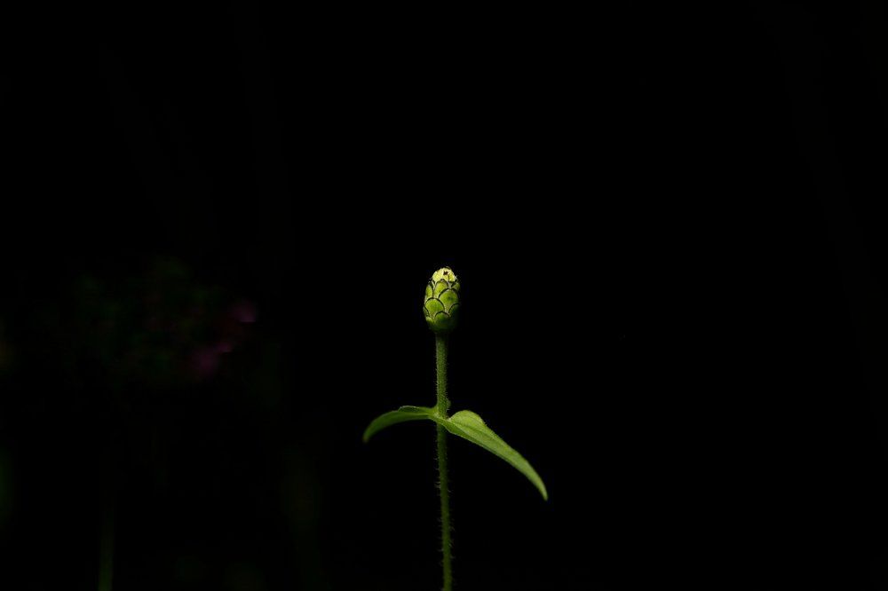 Photograph by Анжелика Сидорова