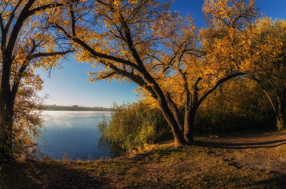 " Есть в осени первоначальной…"