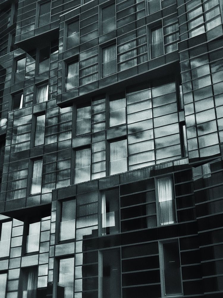 Муравейник