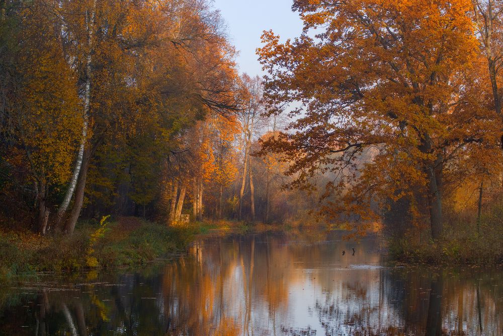 Осенняя пастораль.