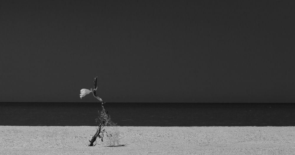 Photograph by Александр Иванов