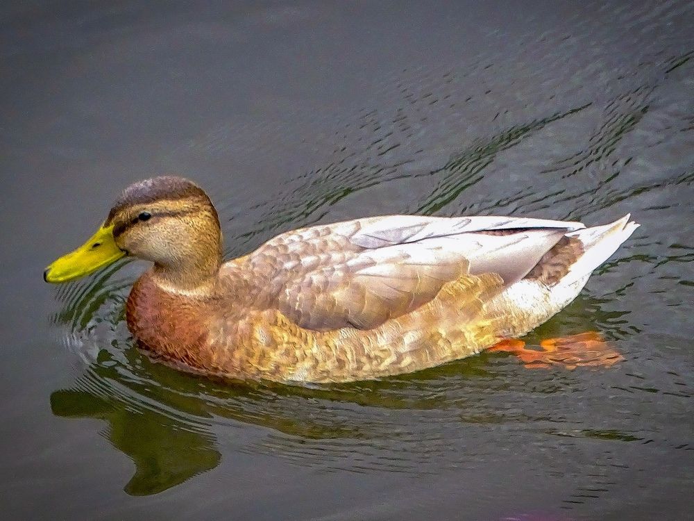 Photograph by Александр Прудков