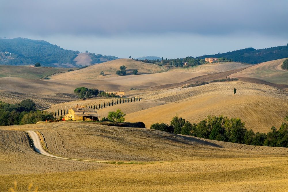 Фотография автора Андрей Симонов
