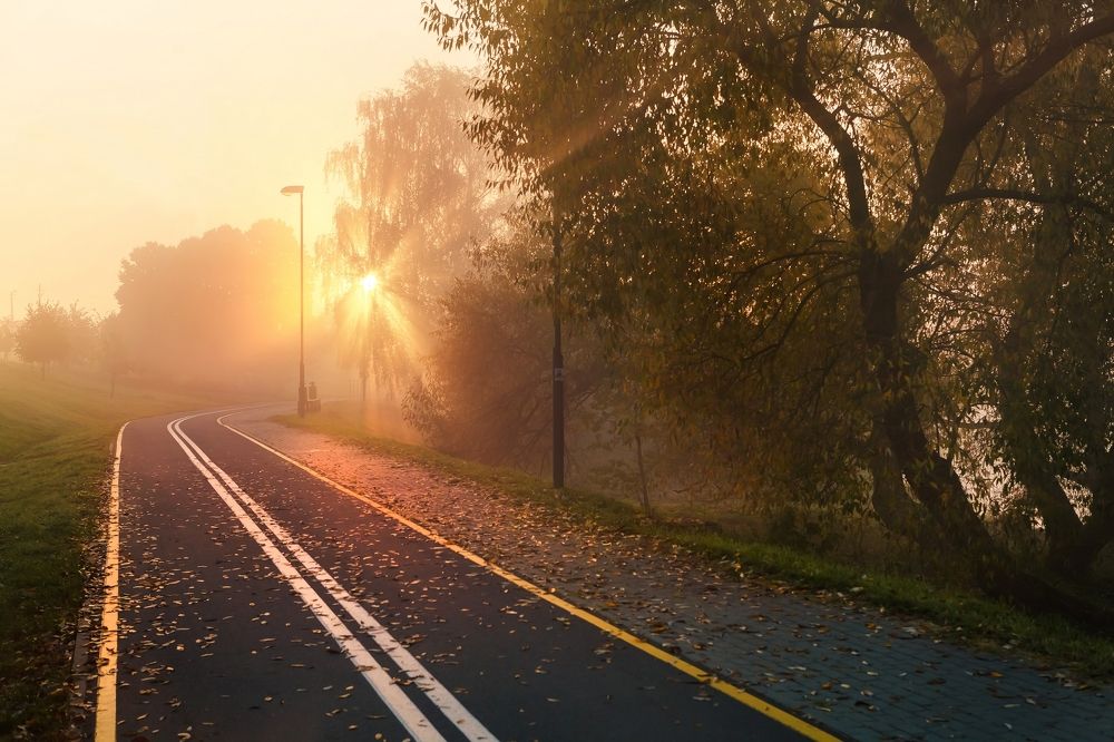 Туманная велодорожка на рассвете