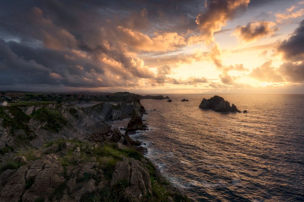 Aguja de las gaviotas