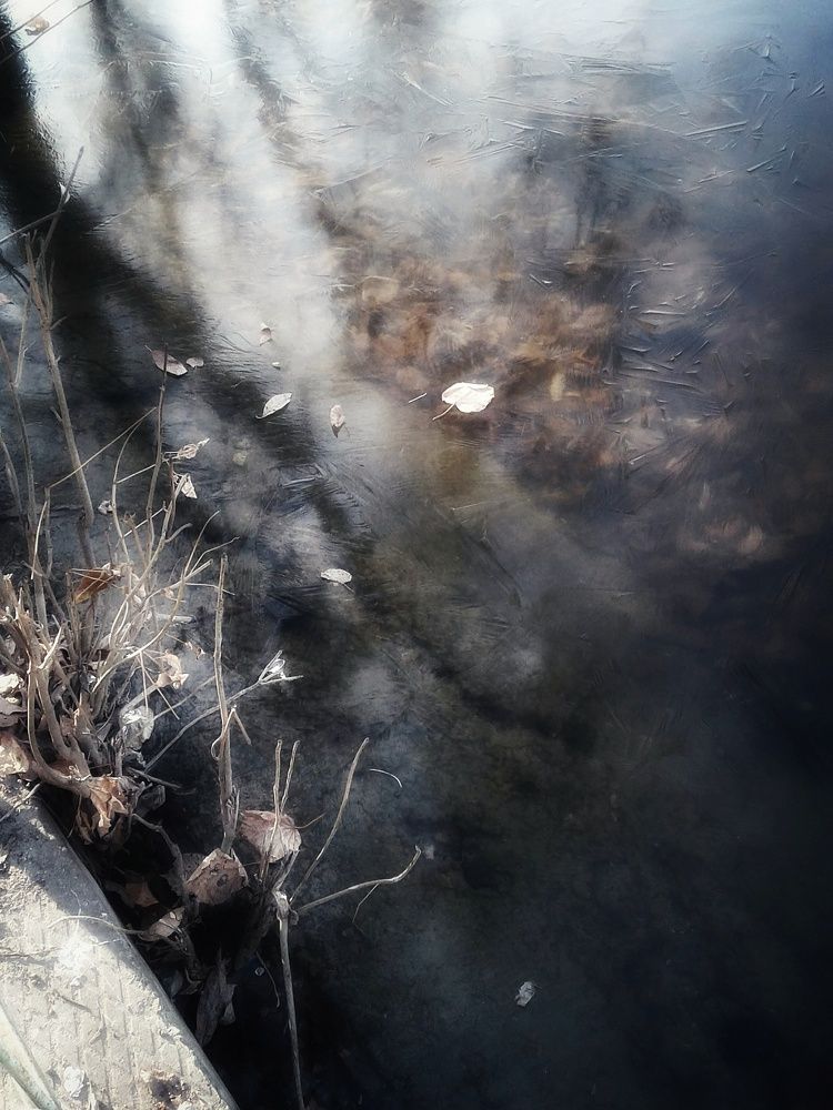 Ноябрьская картинка