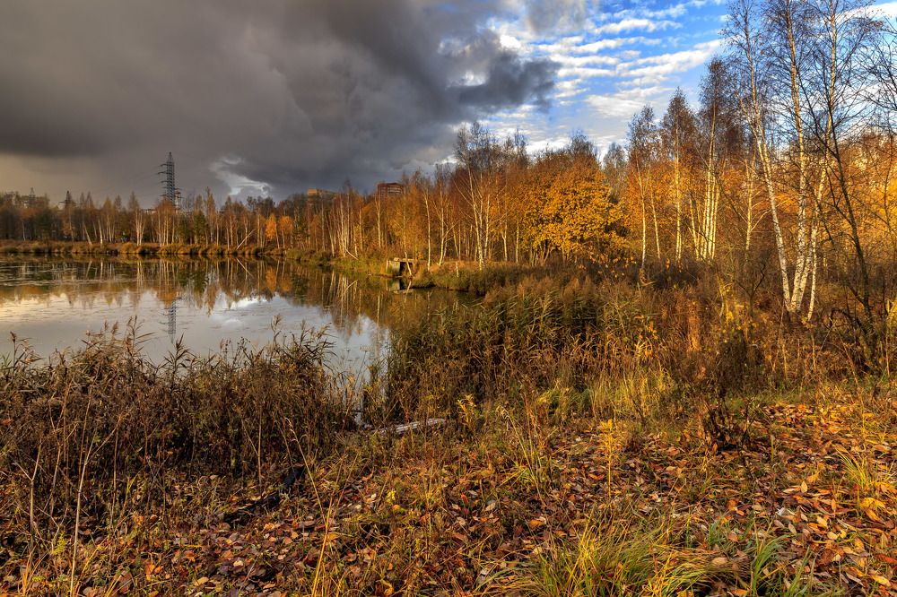Между тьмой и светом
