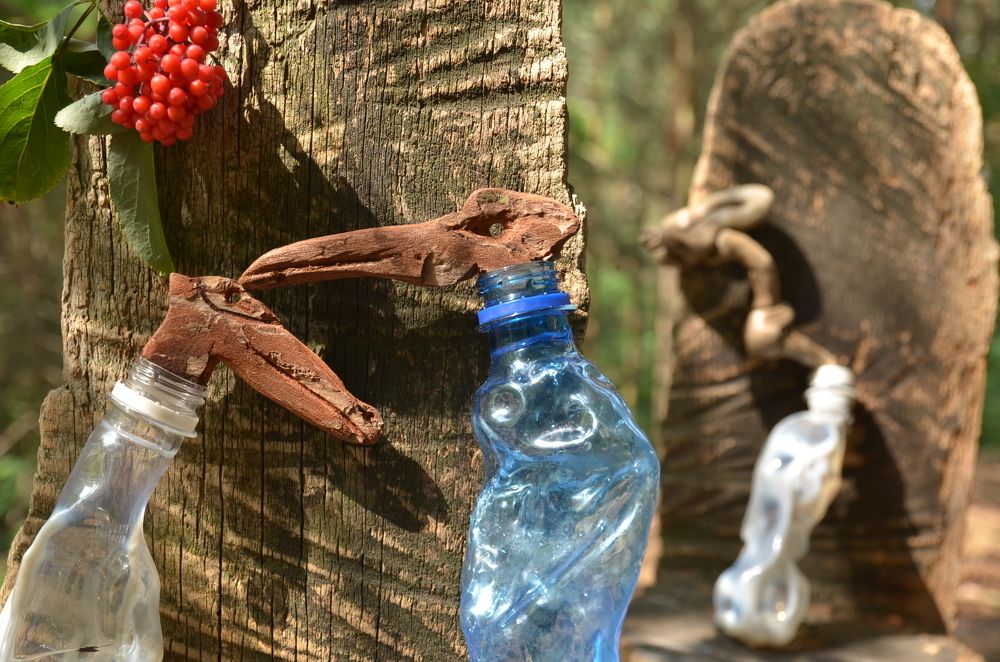 Летние сны.