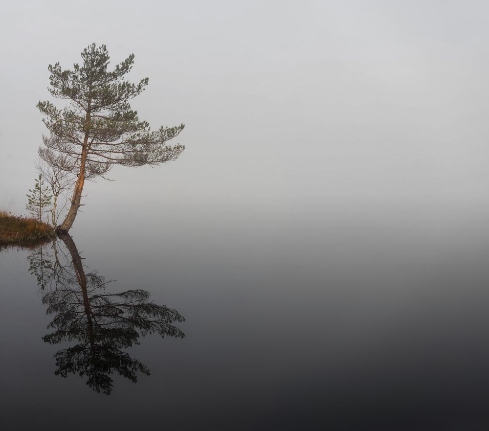 Переходим реку в брод. Природный минимализм