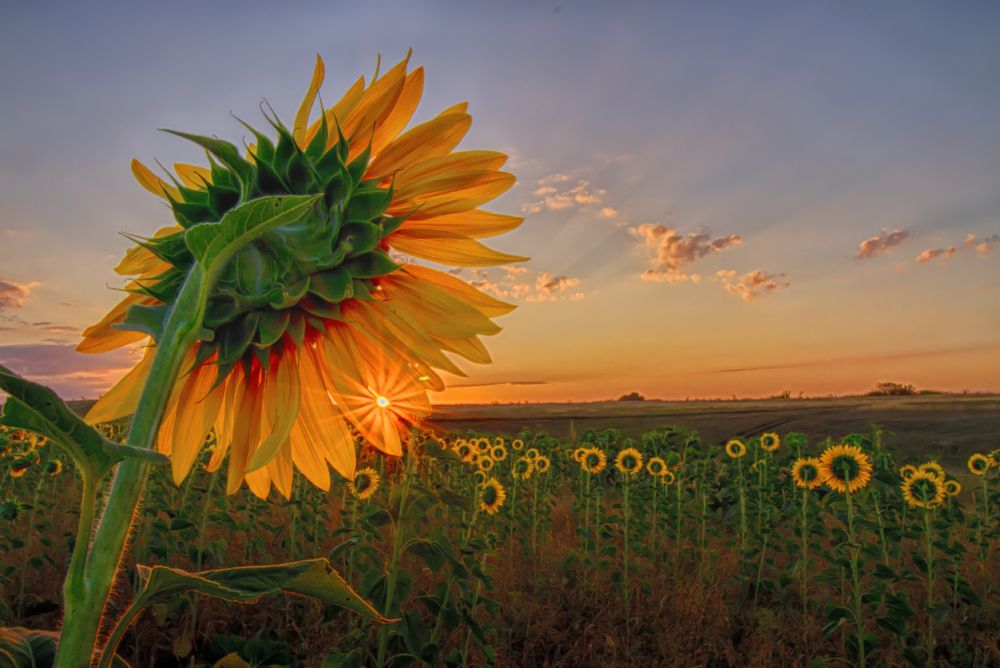 И наступит новый день.