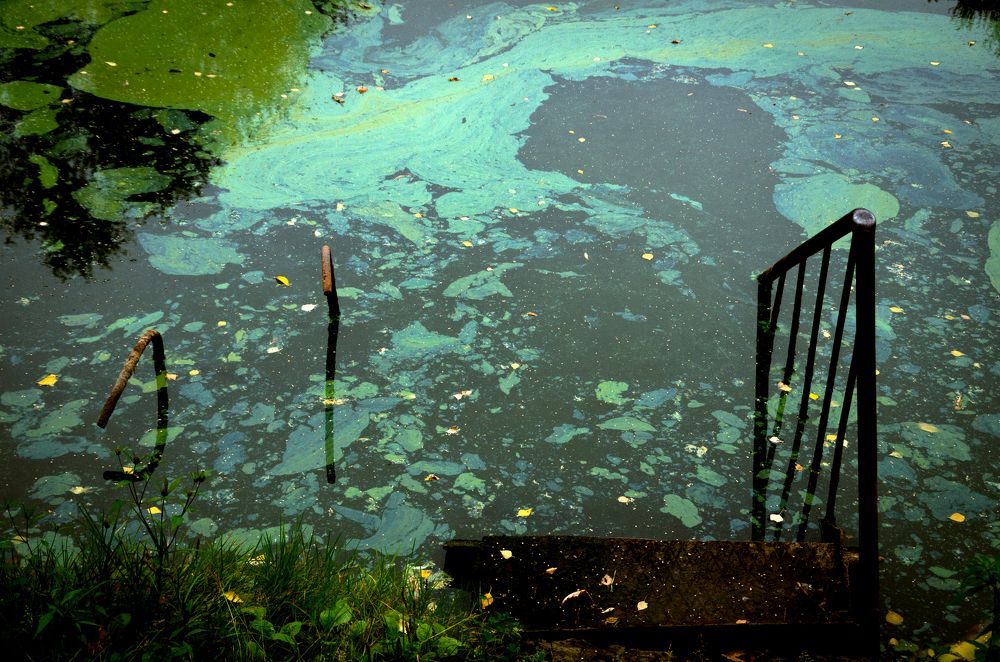 Краски осени / Сolors of Autumn