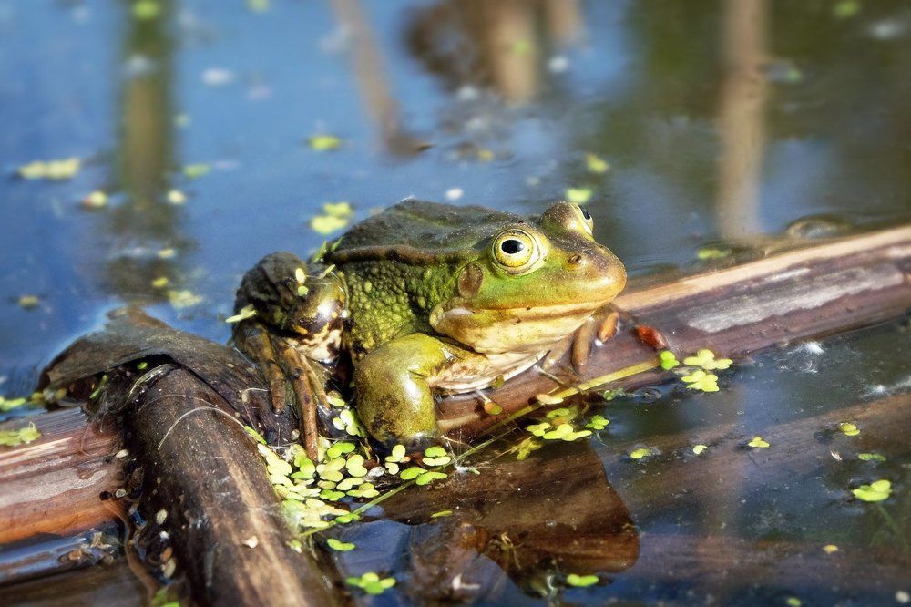 Photograph by Anna Saltykowa