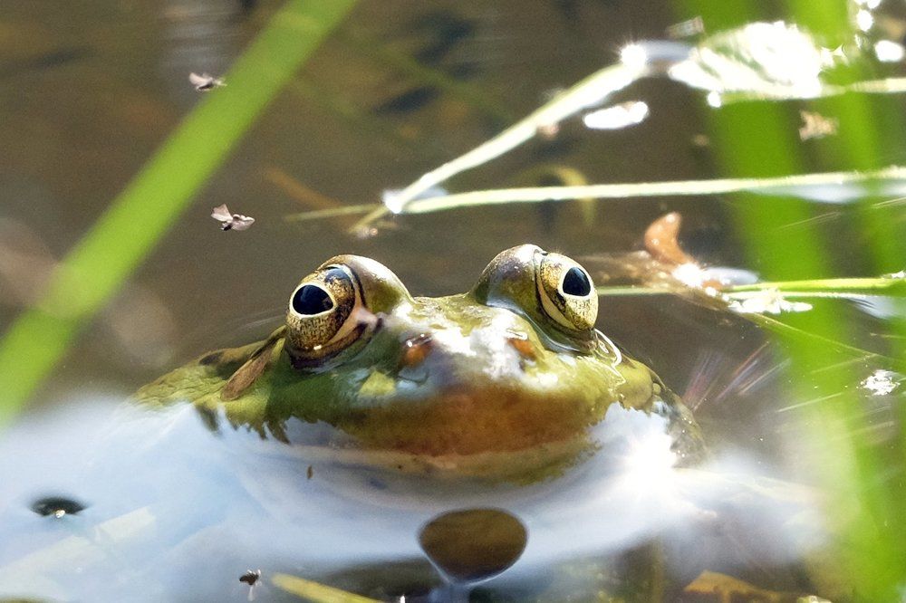 Photograph by Anna Saltykowa