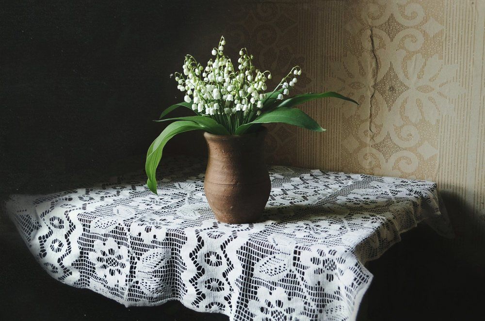 Photograph by Anna Saltykowa