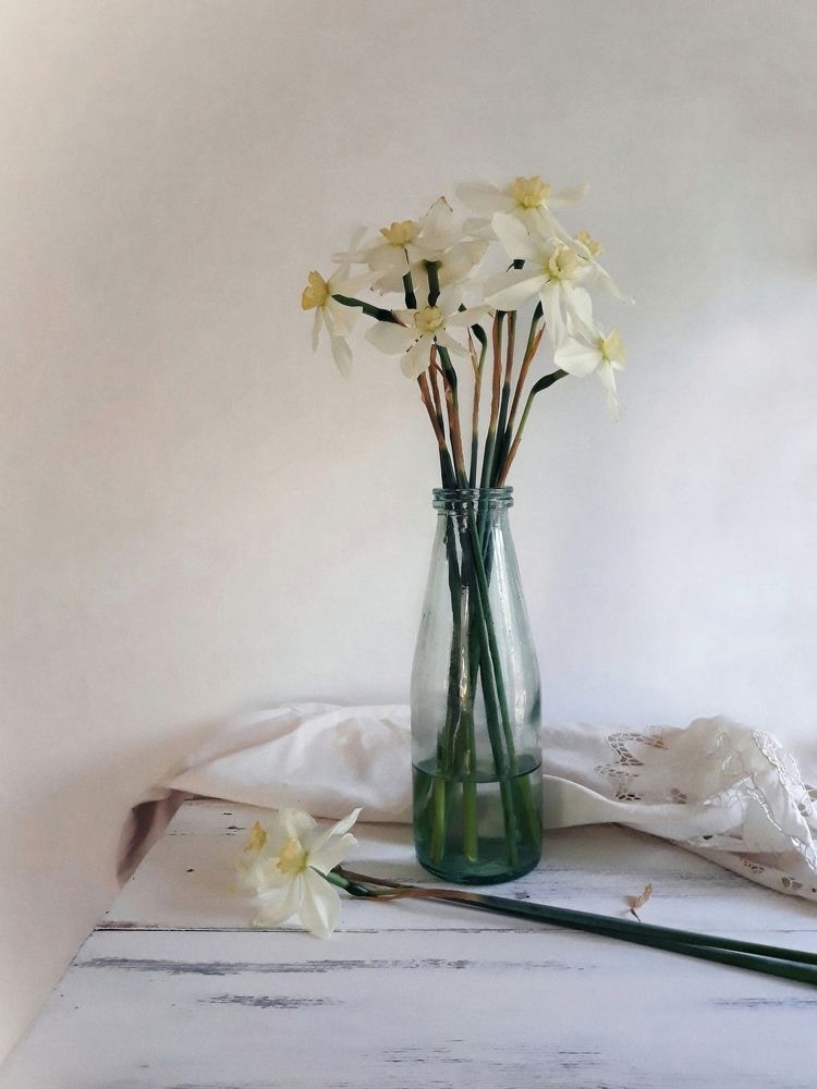 Нежность весны