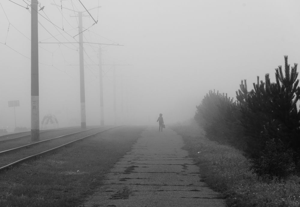 Блуждающий