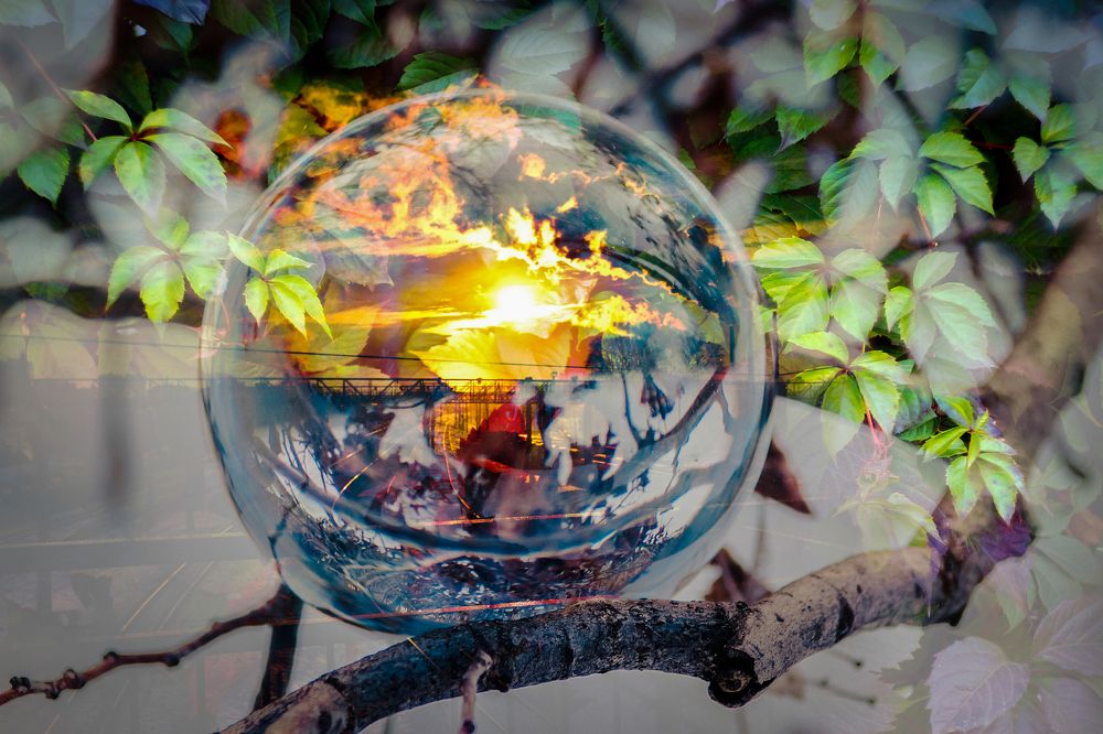 Сквозь стеклянную сферу