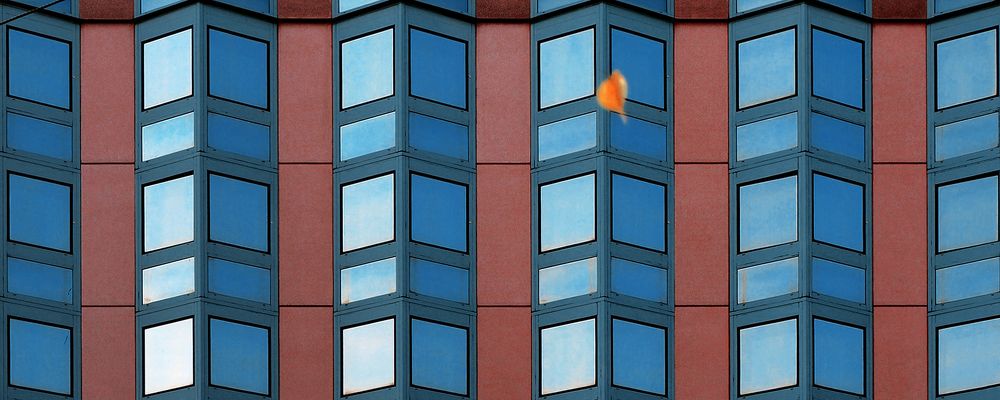 Летящий по ветру