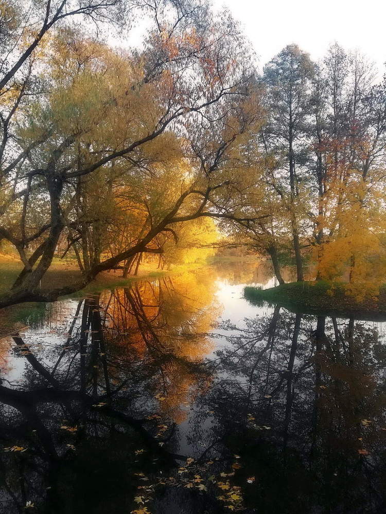 краски осени