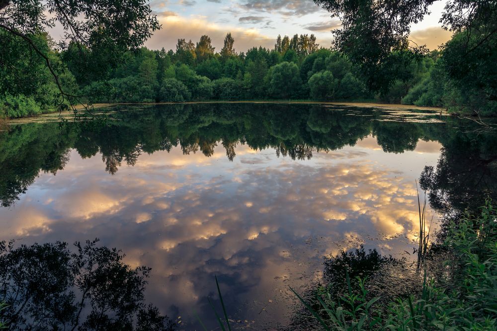 Вечер на пруду