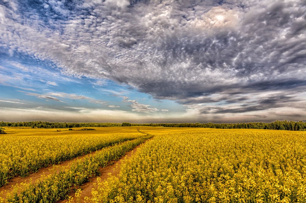 Photograph by Vitalijs