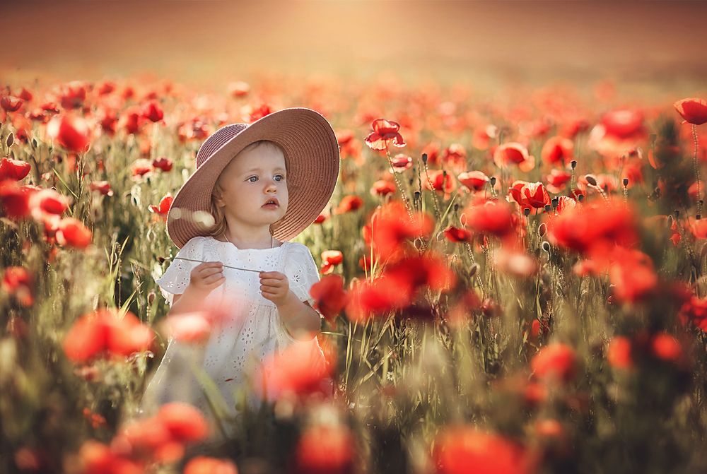 Когда маки были большие