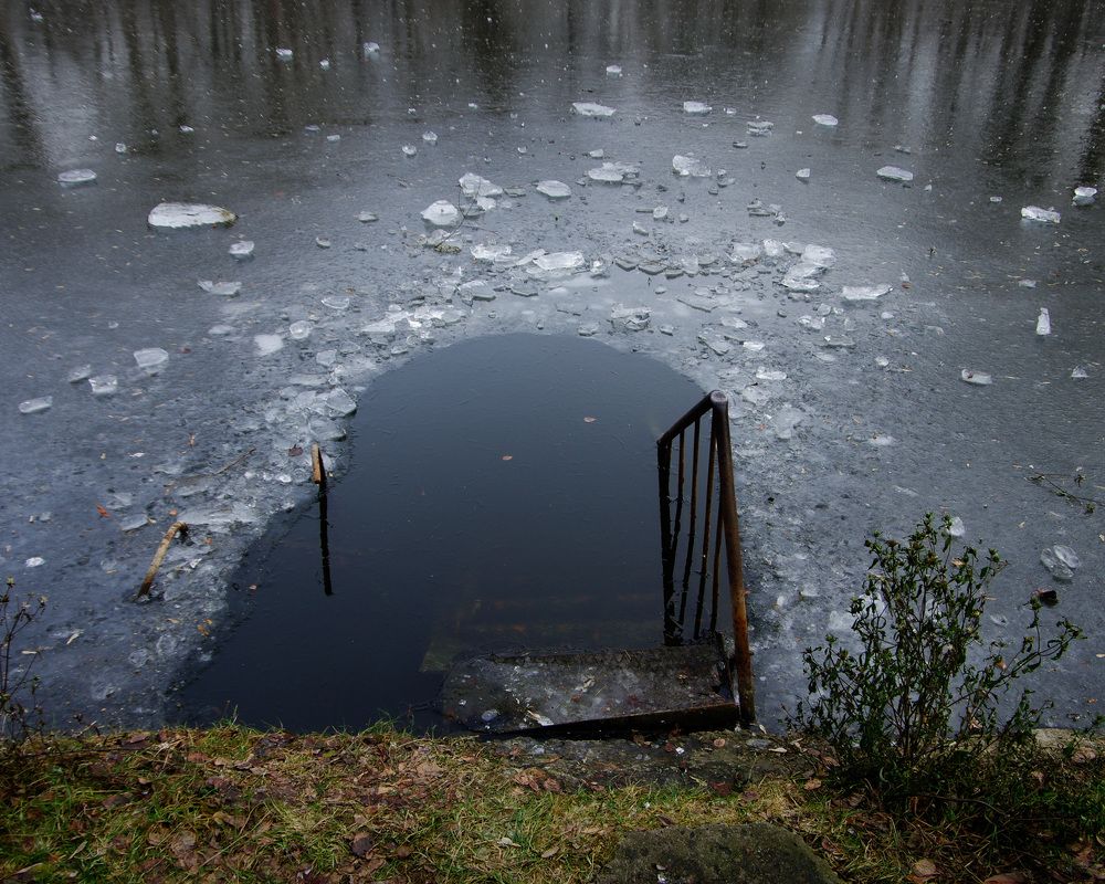 Мы погружаемся в зиму / We plunge into winter