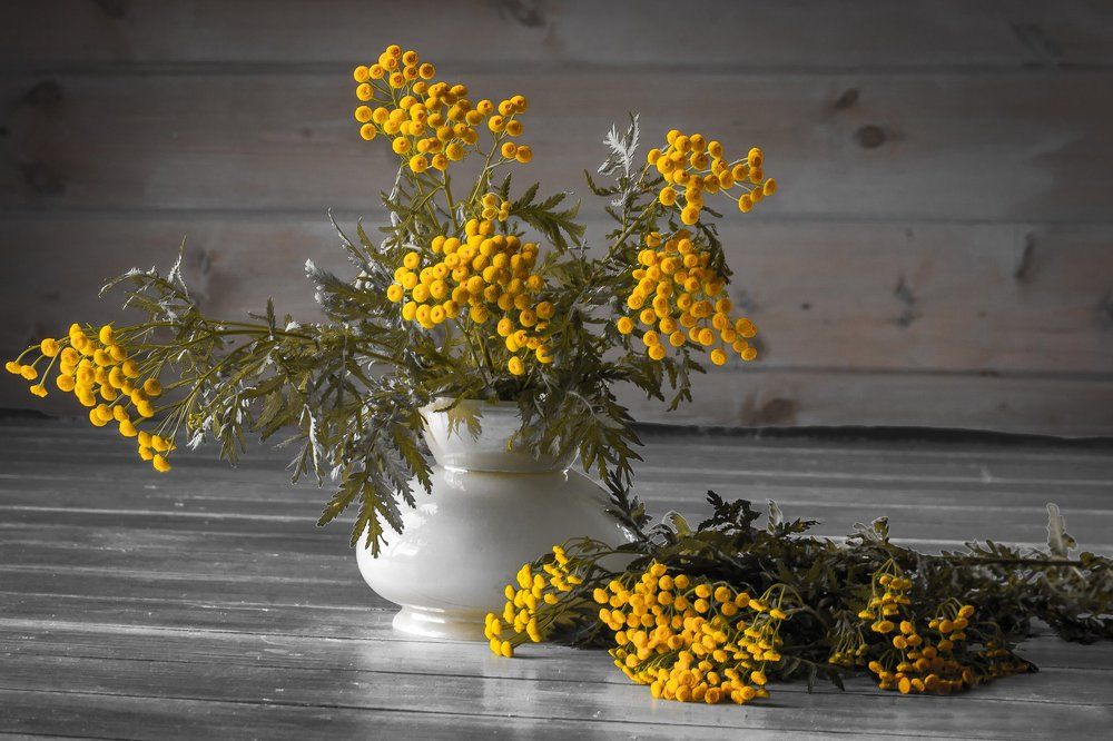 Field of yellow flowers in a vase, bouquet