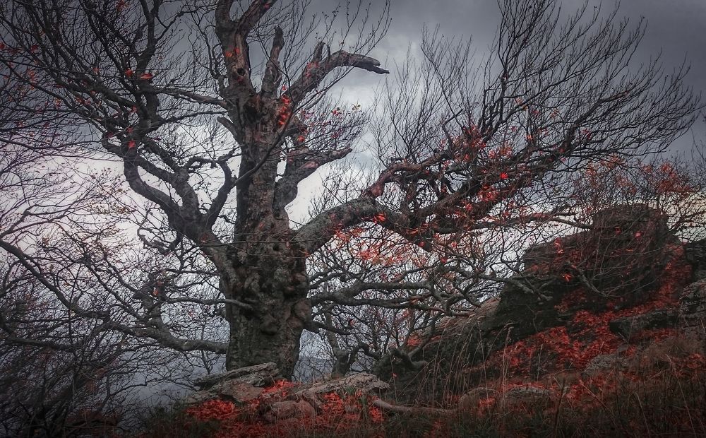 Стражи Демерджи