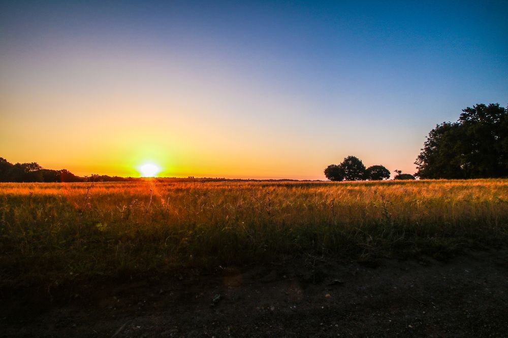 sunrise