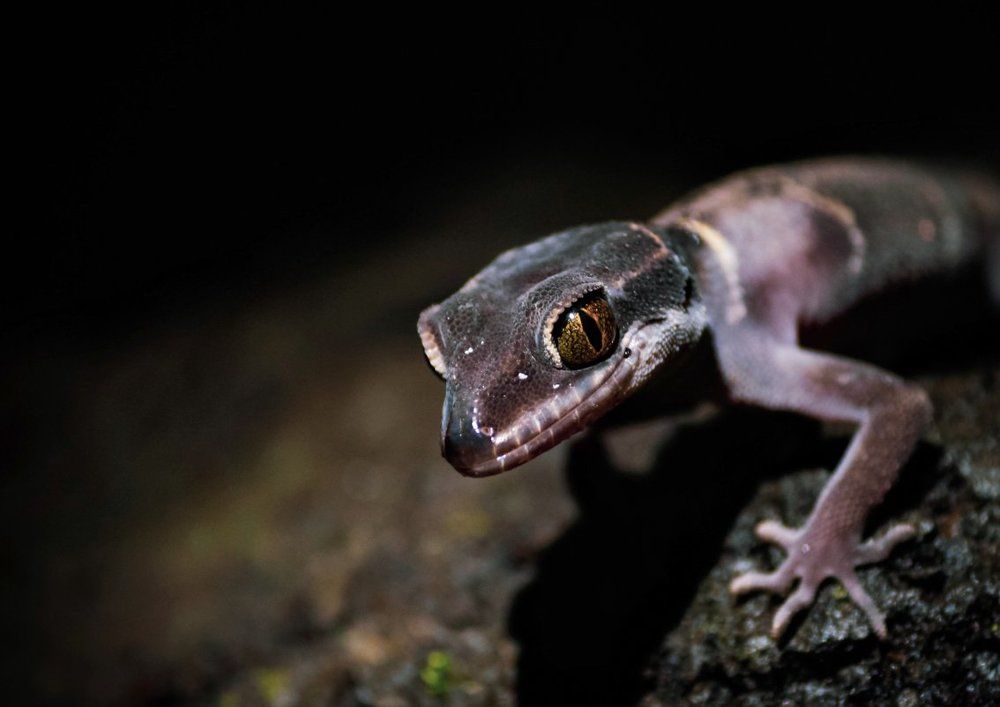 Photograph by Durgesh Mahajan