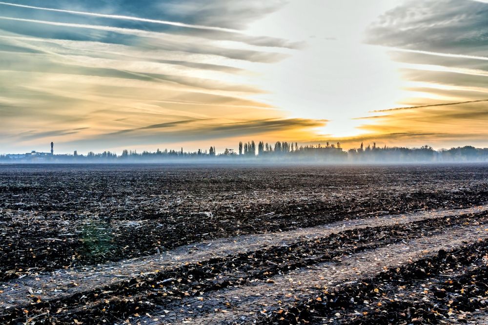 Осенним утром на поле..