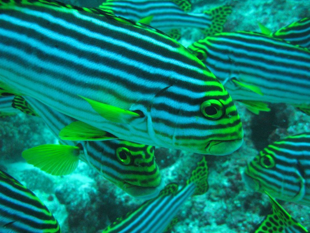 Фотография автора Степин Геннадий