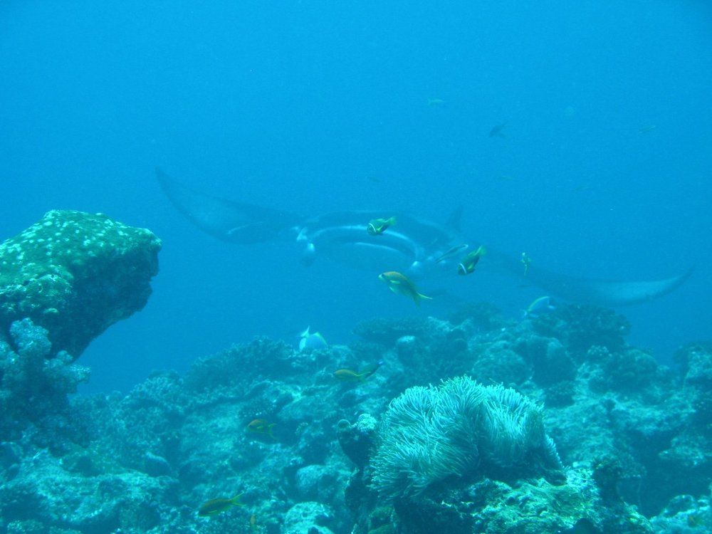 Фотография автора Степин Геннадий