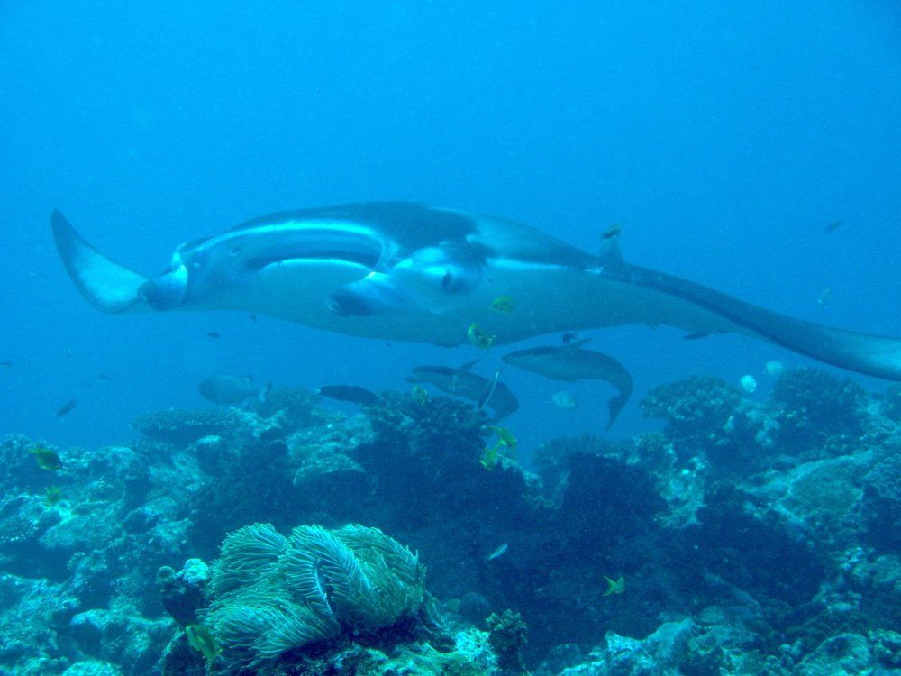 Фотография автора Степин Геннадий