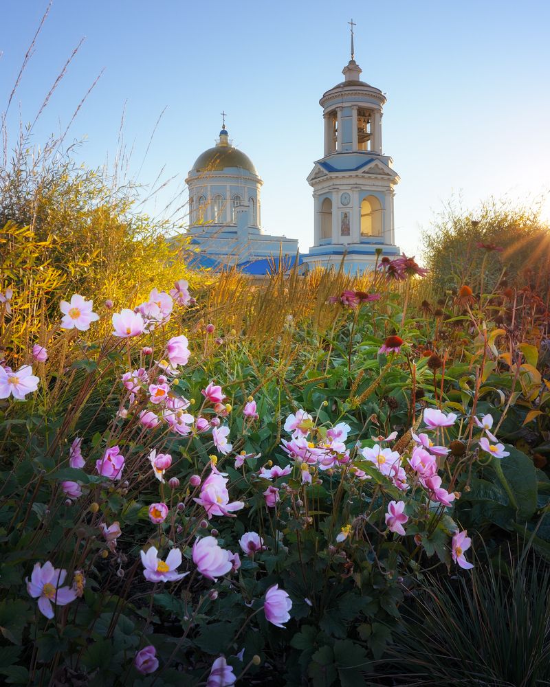 Покровский собор