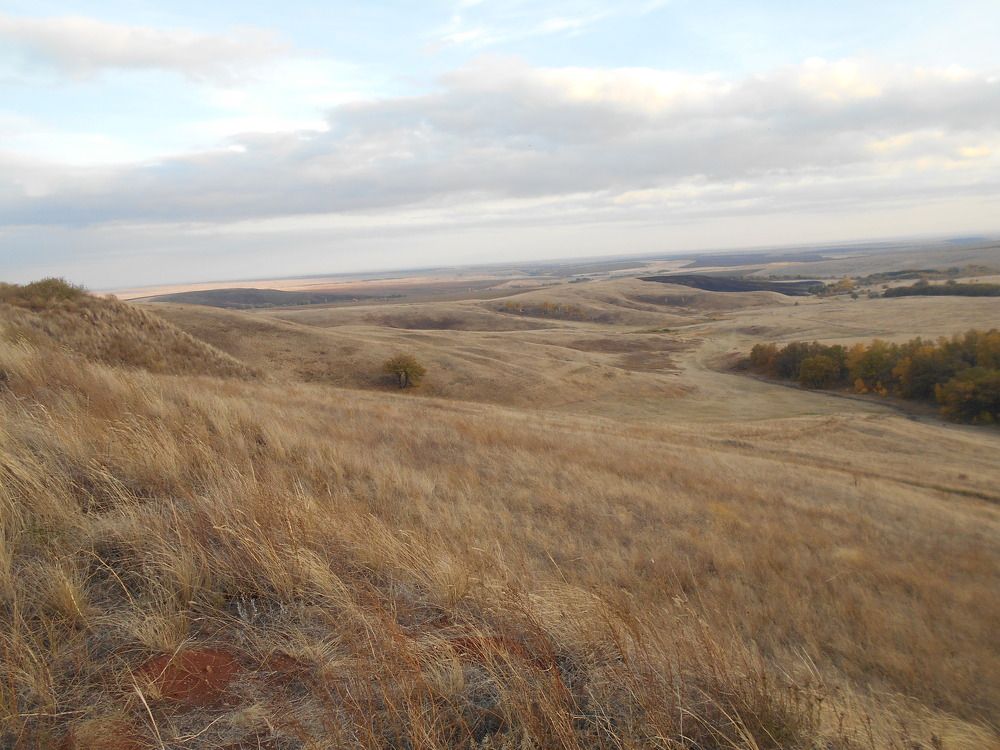 Оренбургская область, недалеко от Оренбурга
