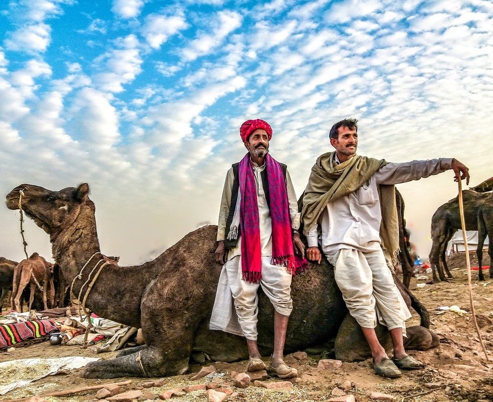 My camel is the best