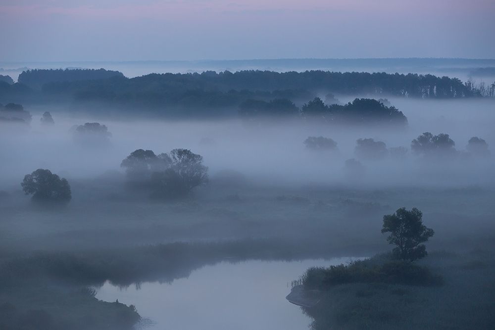 Предрассветный туман.