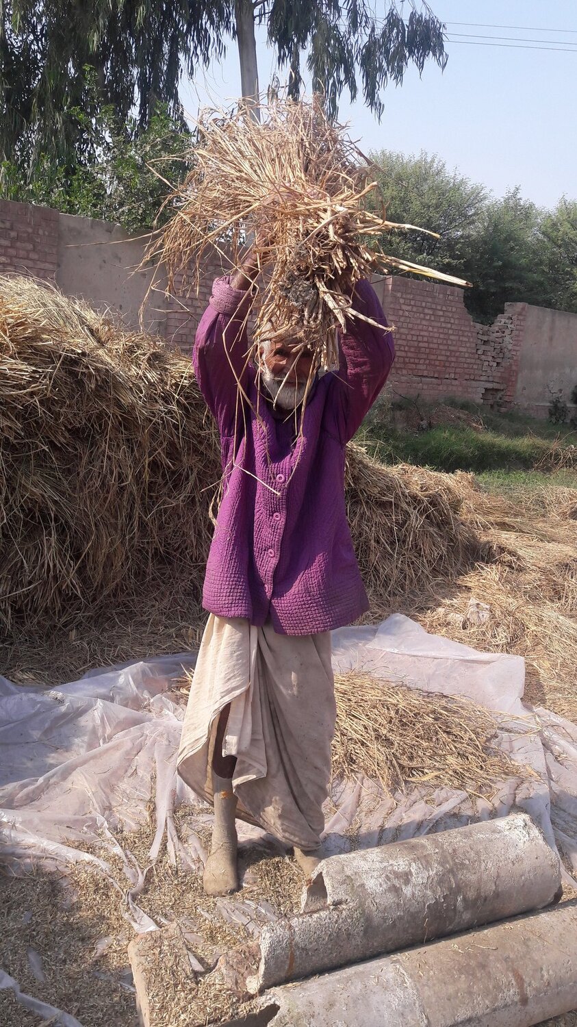 Rice Treshing