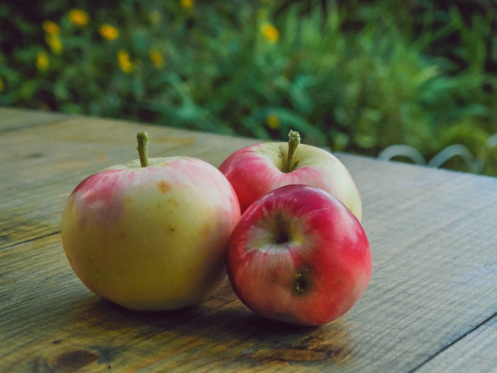 Яблоки