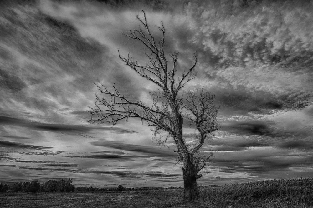 одиночество