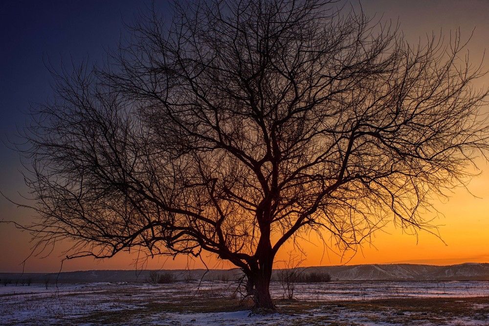 Скоро весна