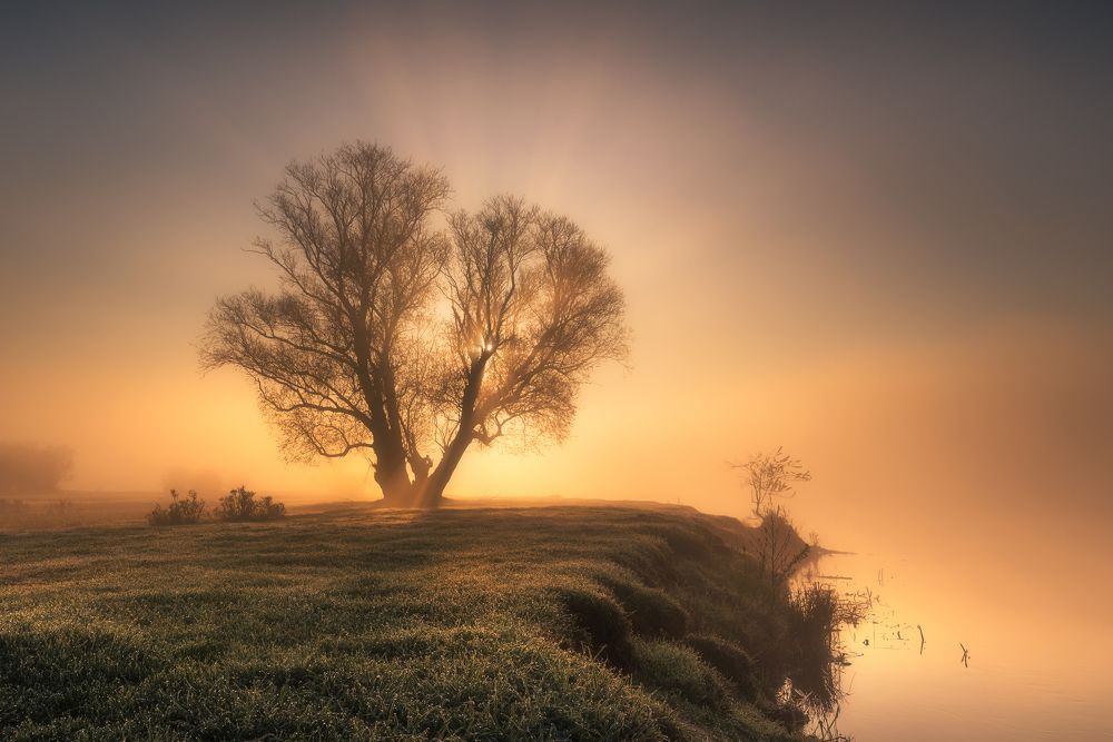 Somewhere on the edge of the World...