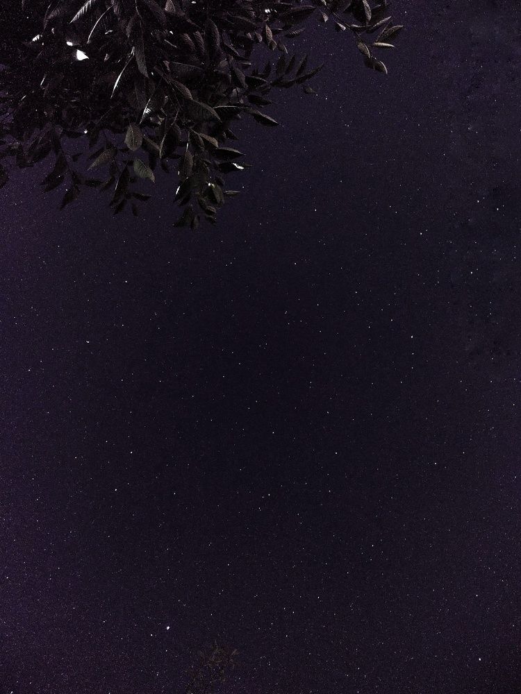 We are from stars