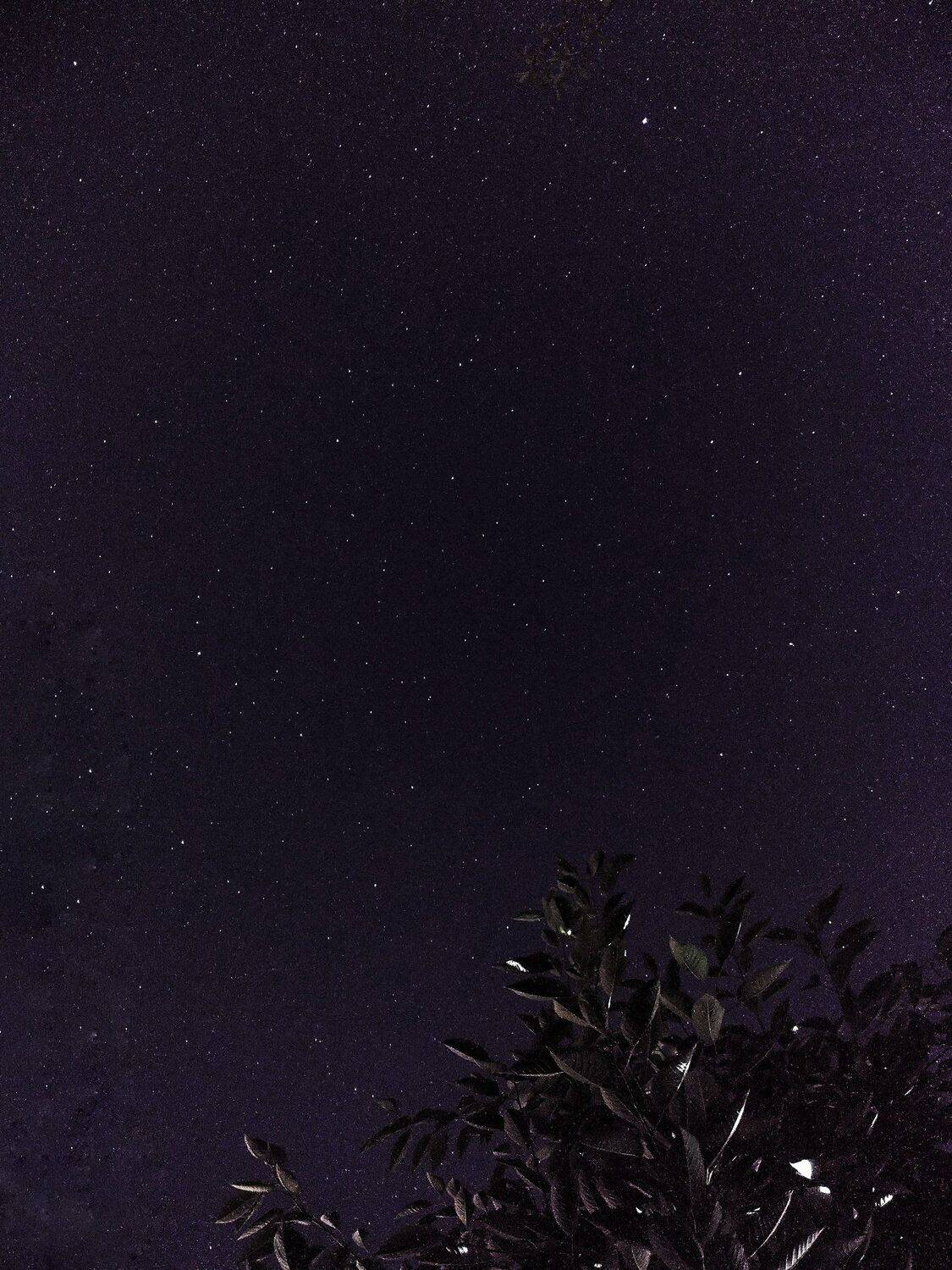 We are from stars