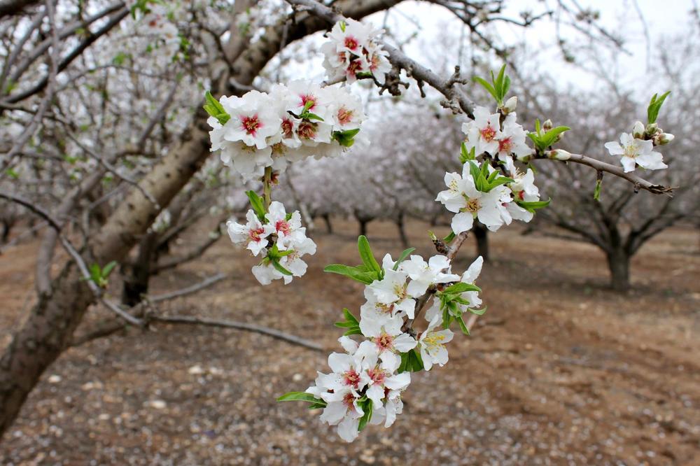 Photograph by Irina Radzinskaya