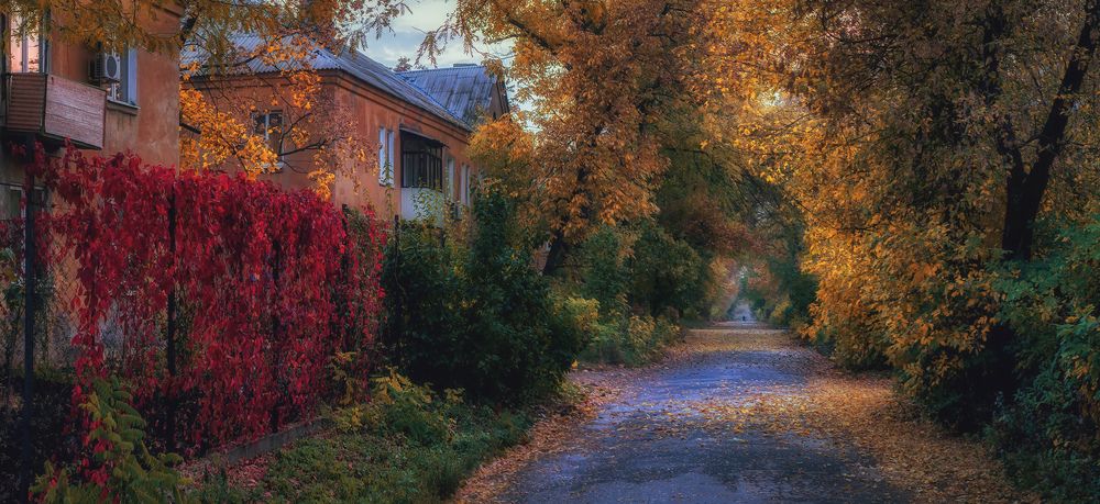 Осень в сталинках