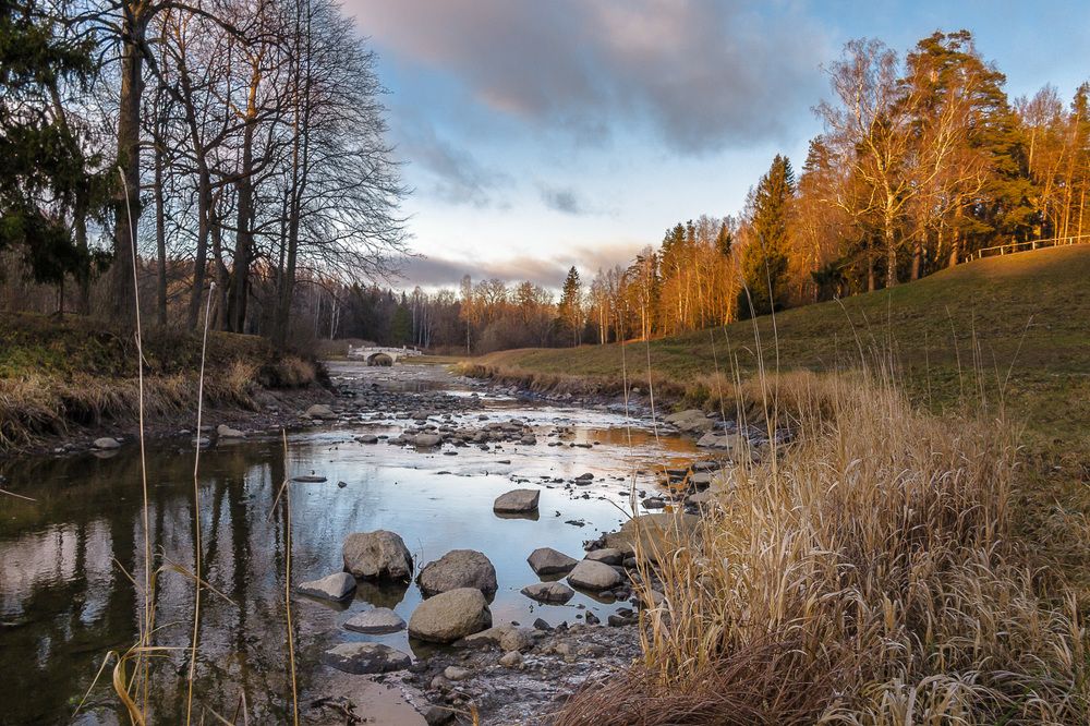 Павловский парк в ноябре.